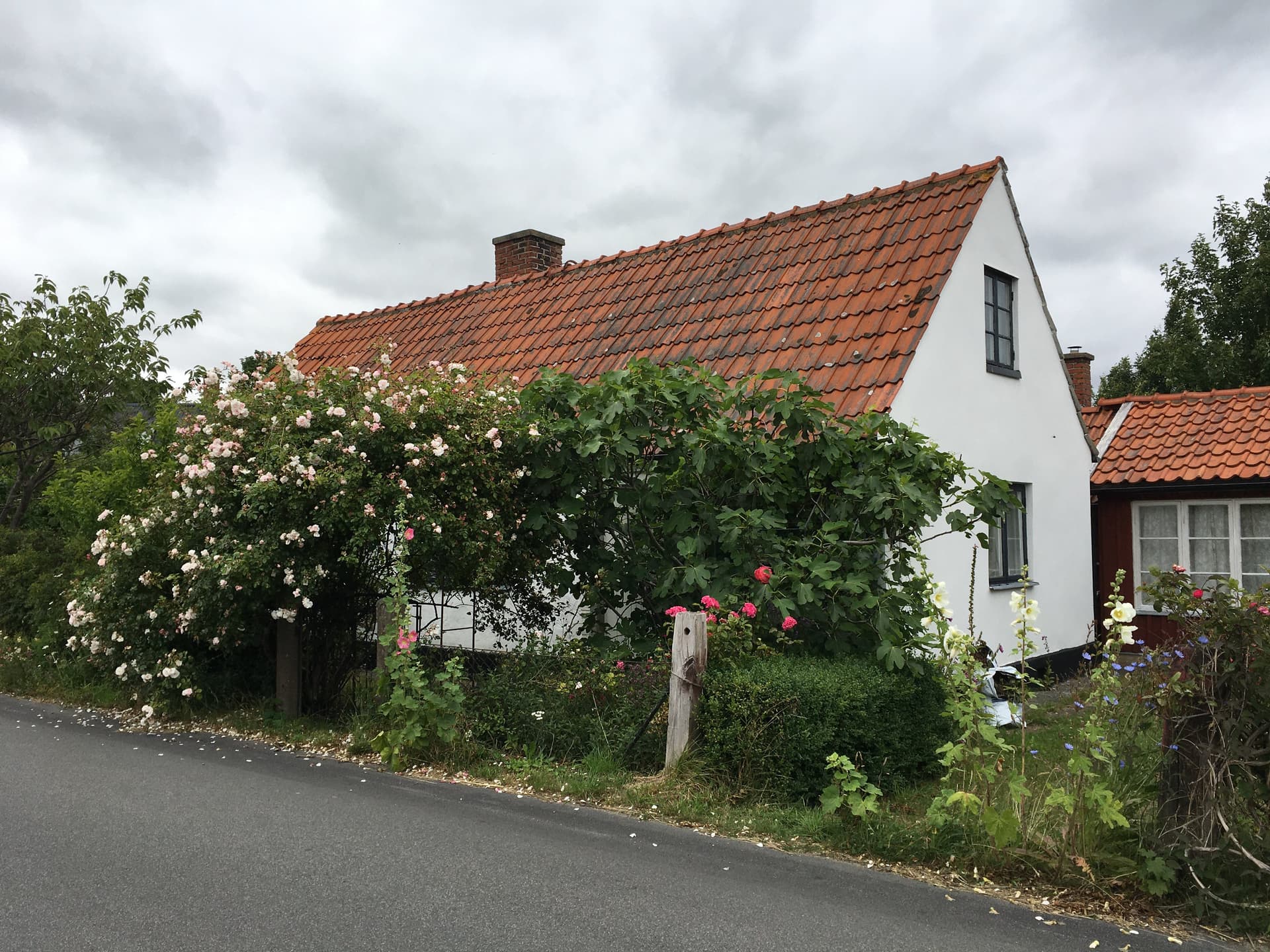 Gislövsvägen i Brantevik