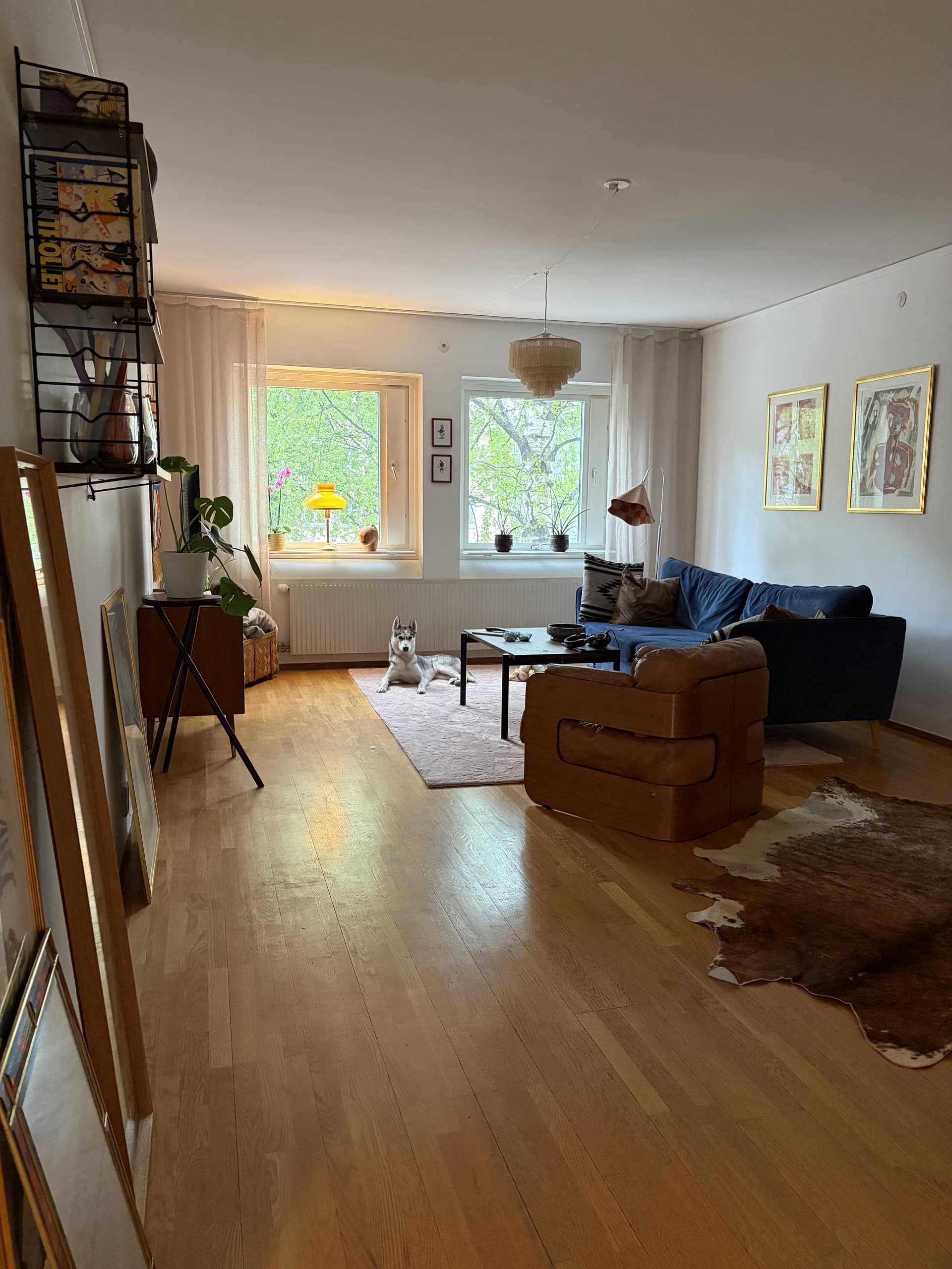 Skolgatan i Umeå