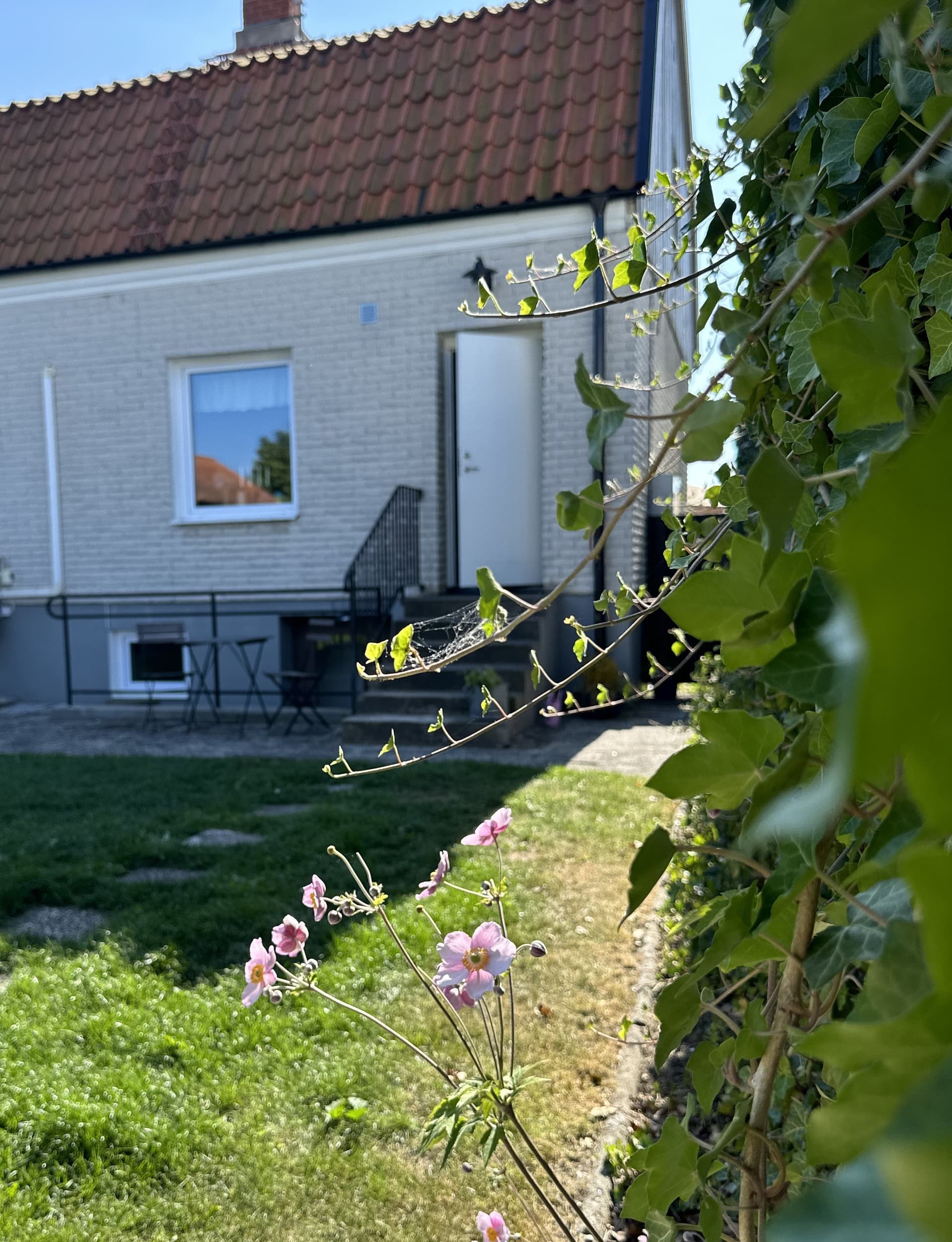 Kyhlsvägen i Borrby