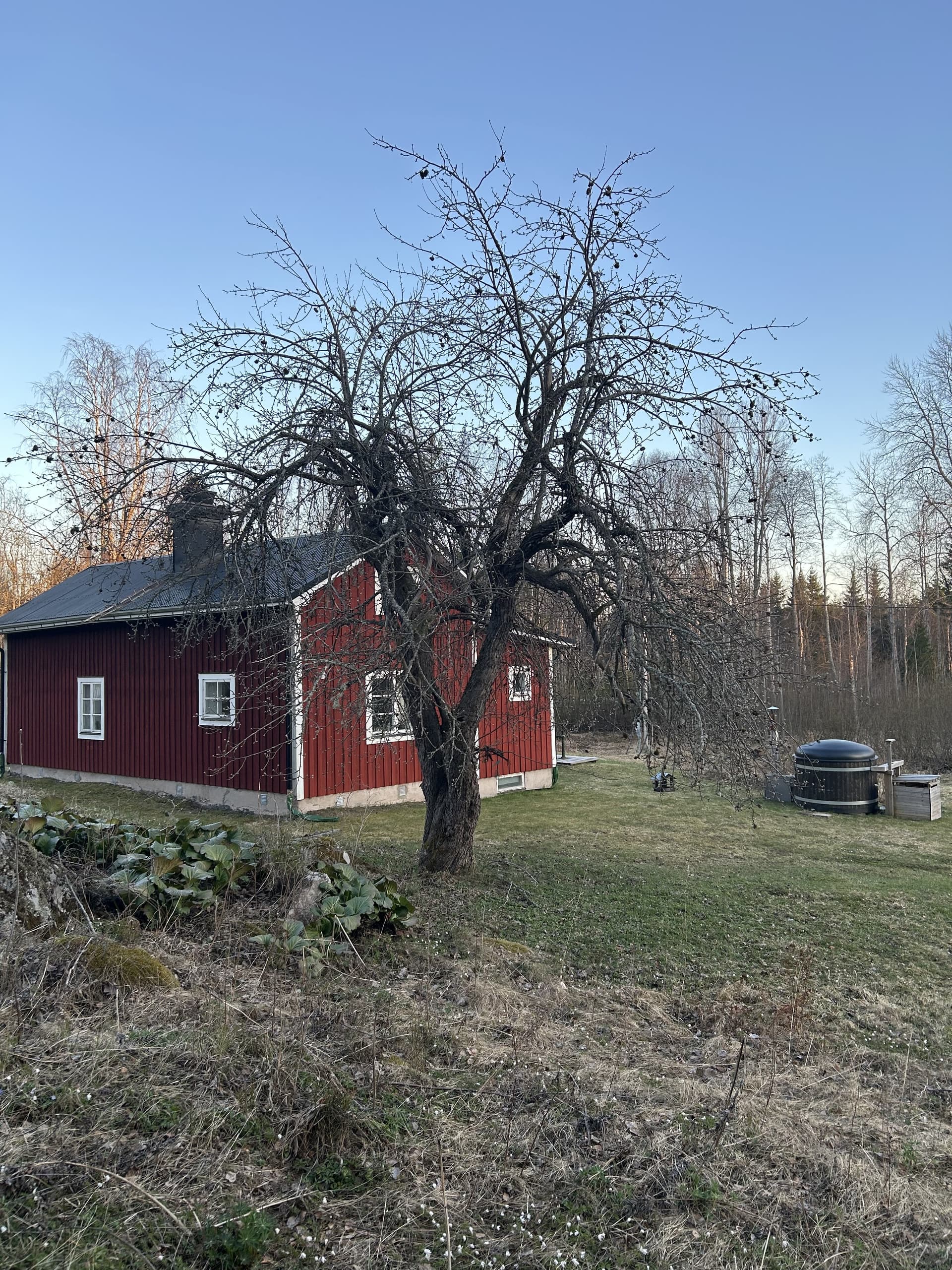 Hå i Ljusne