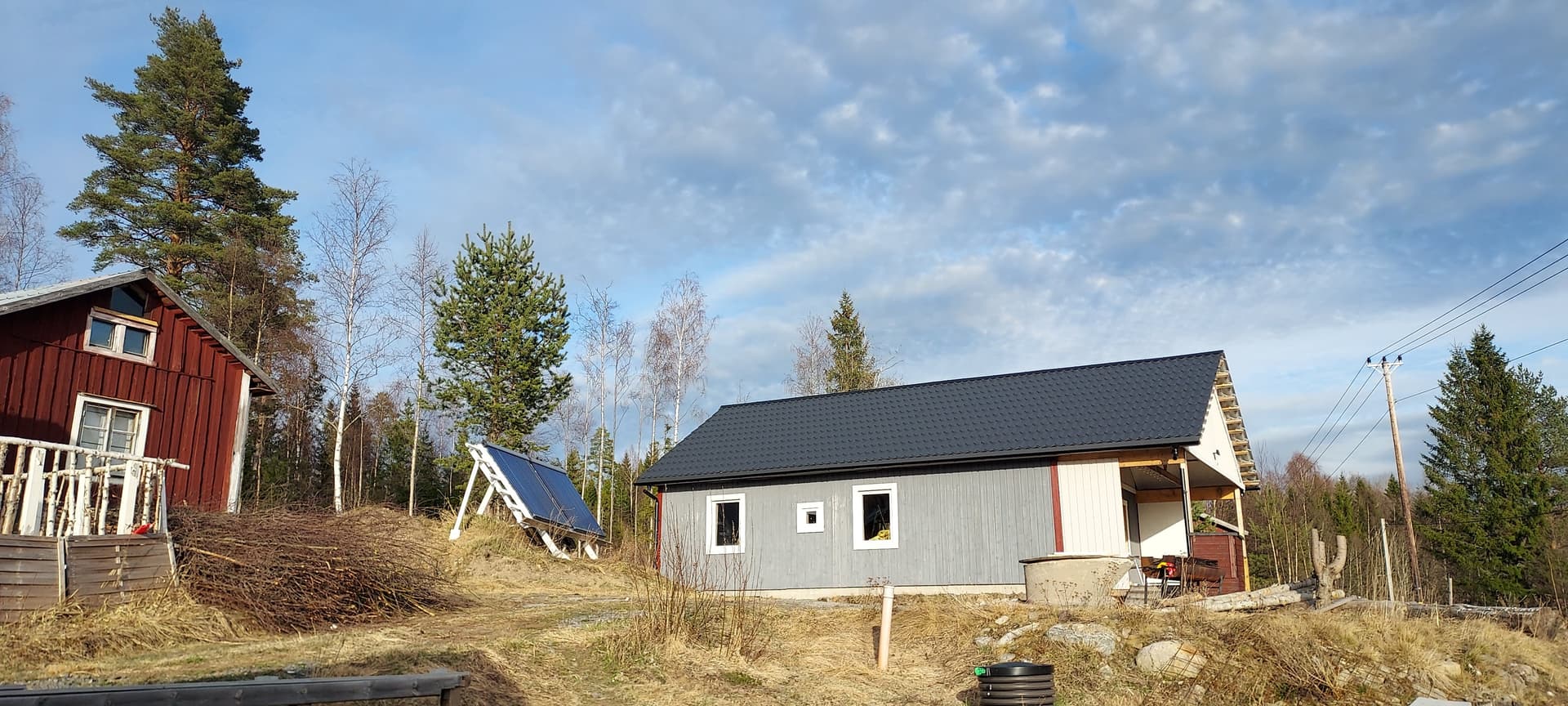 Dala i Skog