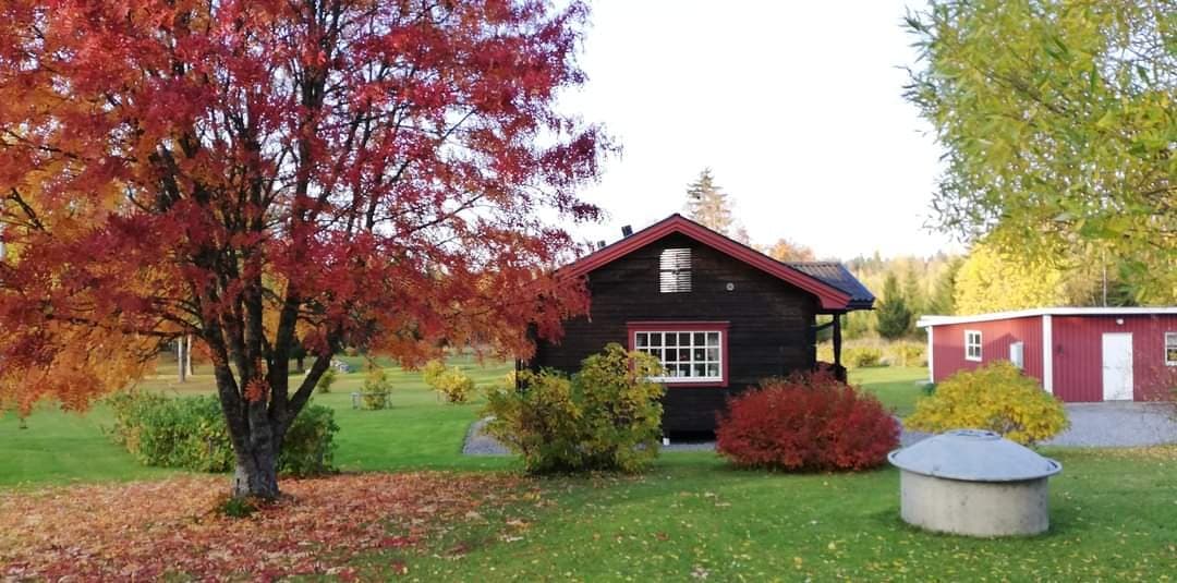 FURULUND i Östersund