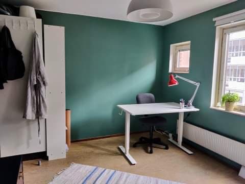 Möllevångsgatan i Malmö