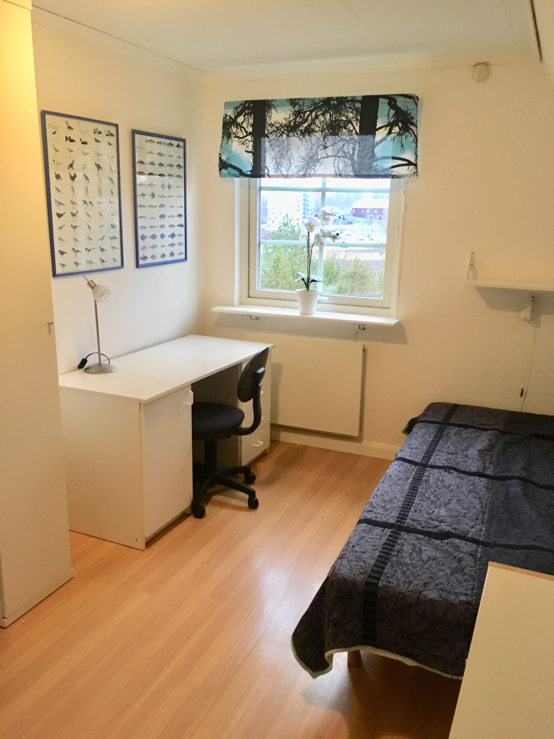 Bergagatan i Norrköping