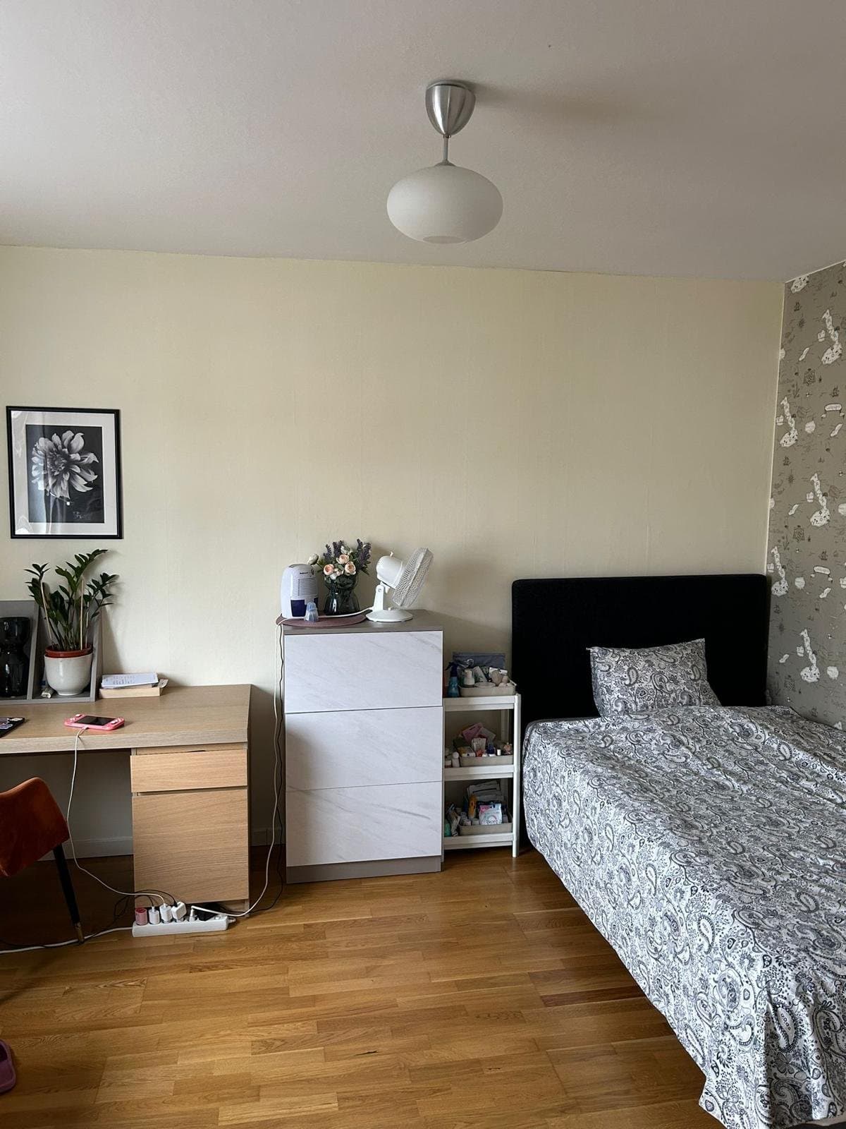 Astrakangatan i Hässelby