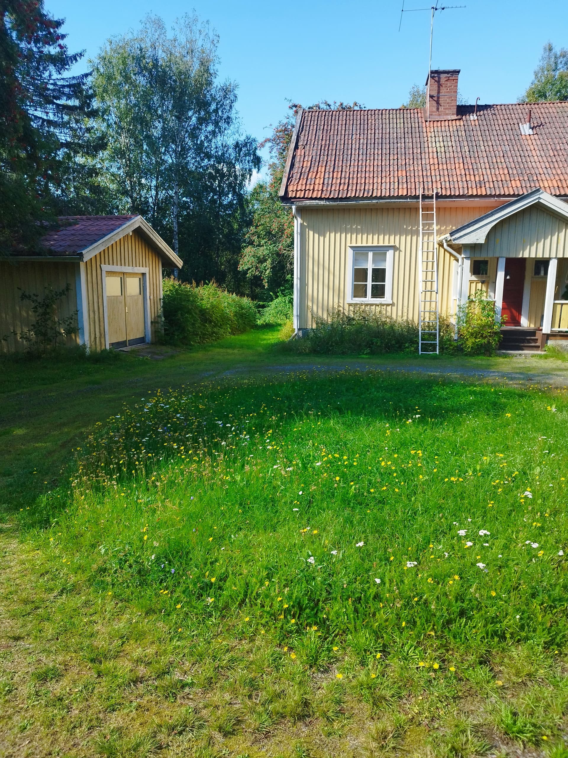 Häggnäs i Hörnefors