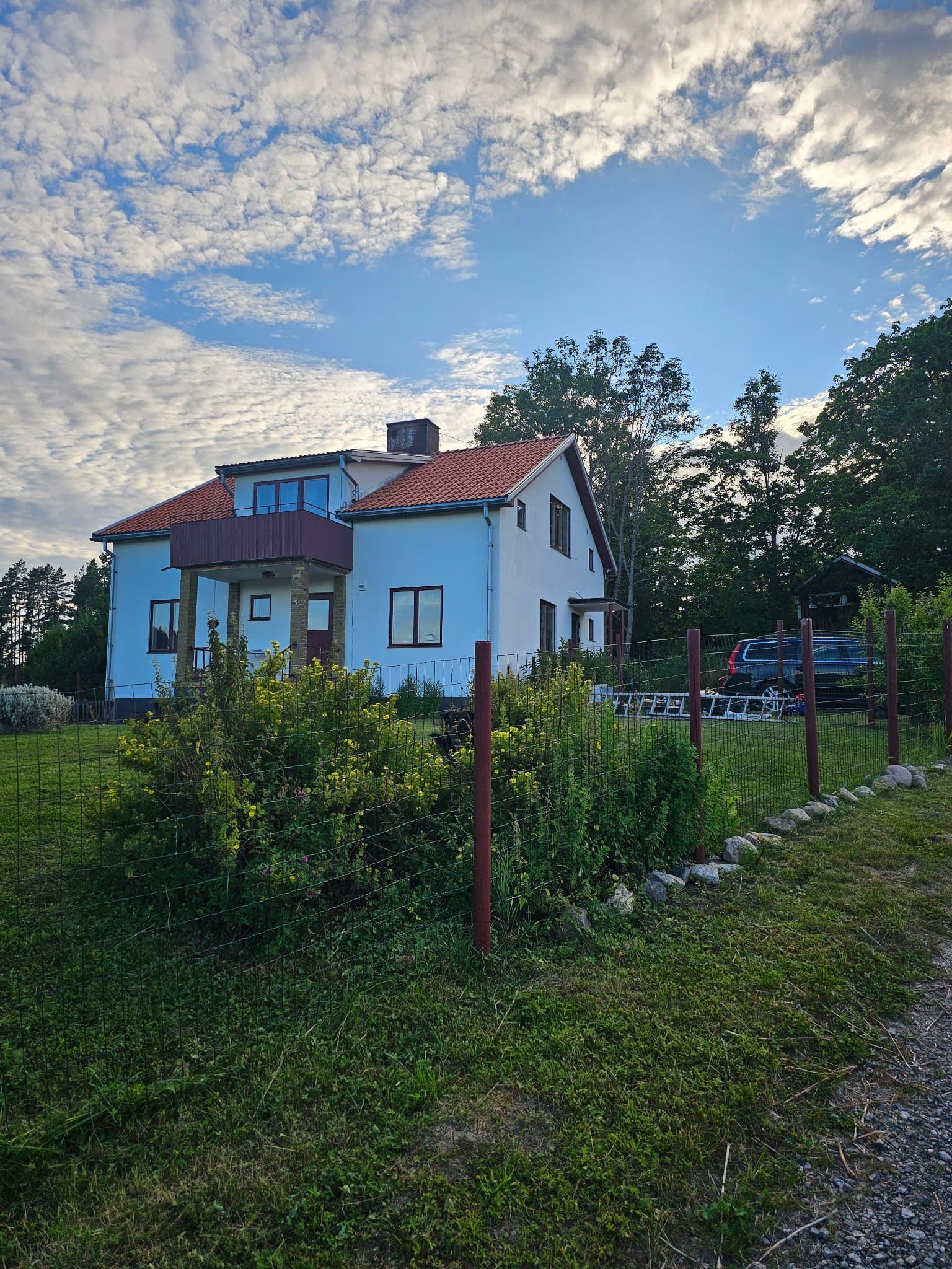 Svederna i Ringarum