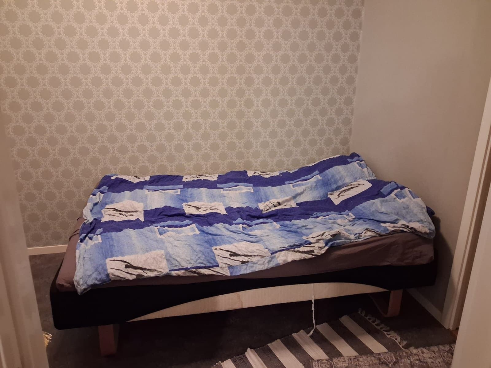 Professorsvägen i Luleå
