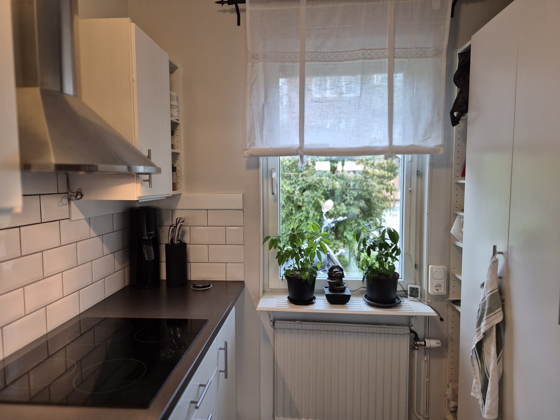 Sjövägen i Brunflo