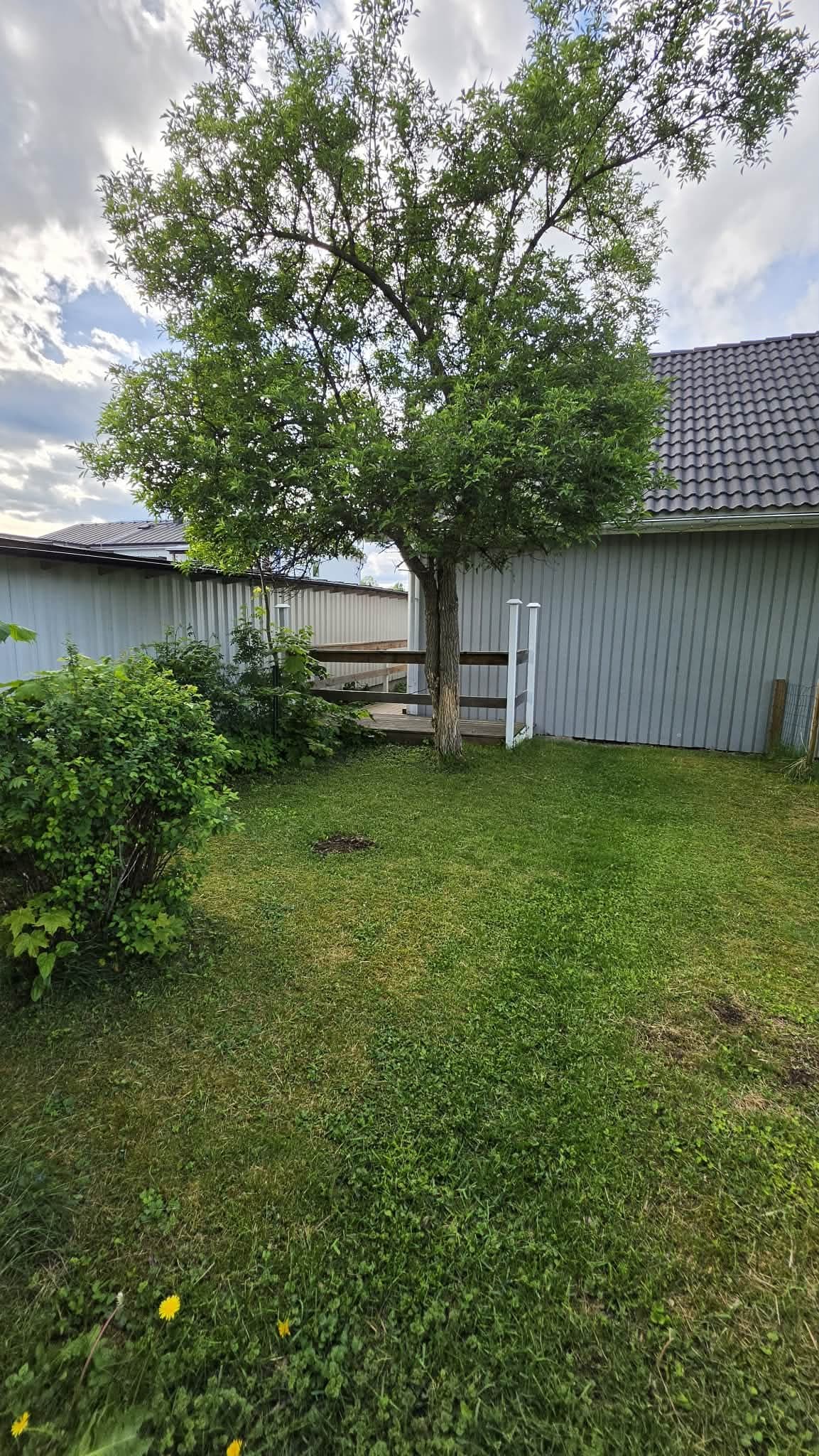 Dannemoravägen i Örbyhus