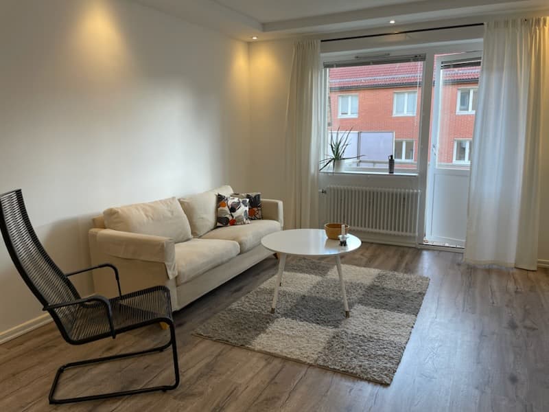 Viskgatan i Helsingborg