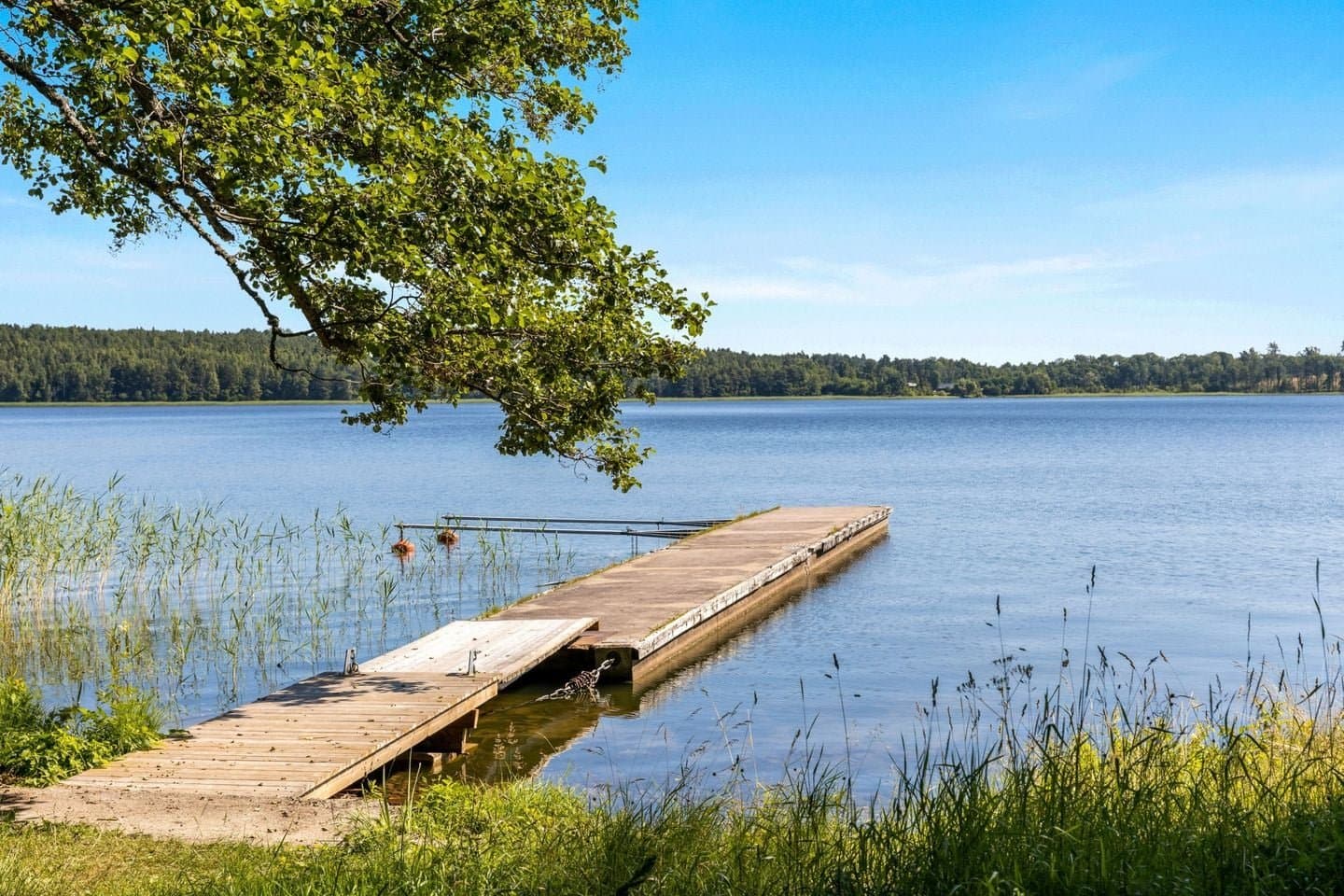 Adelsö i Adelsö