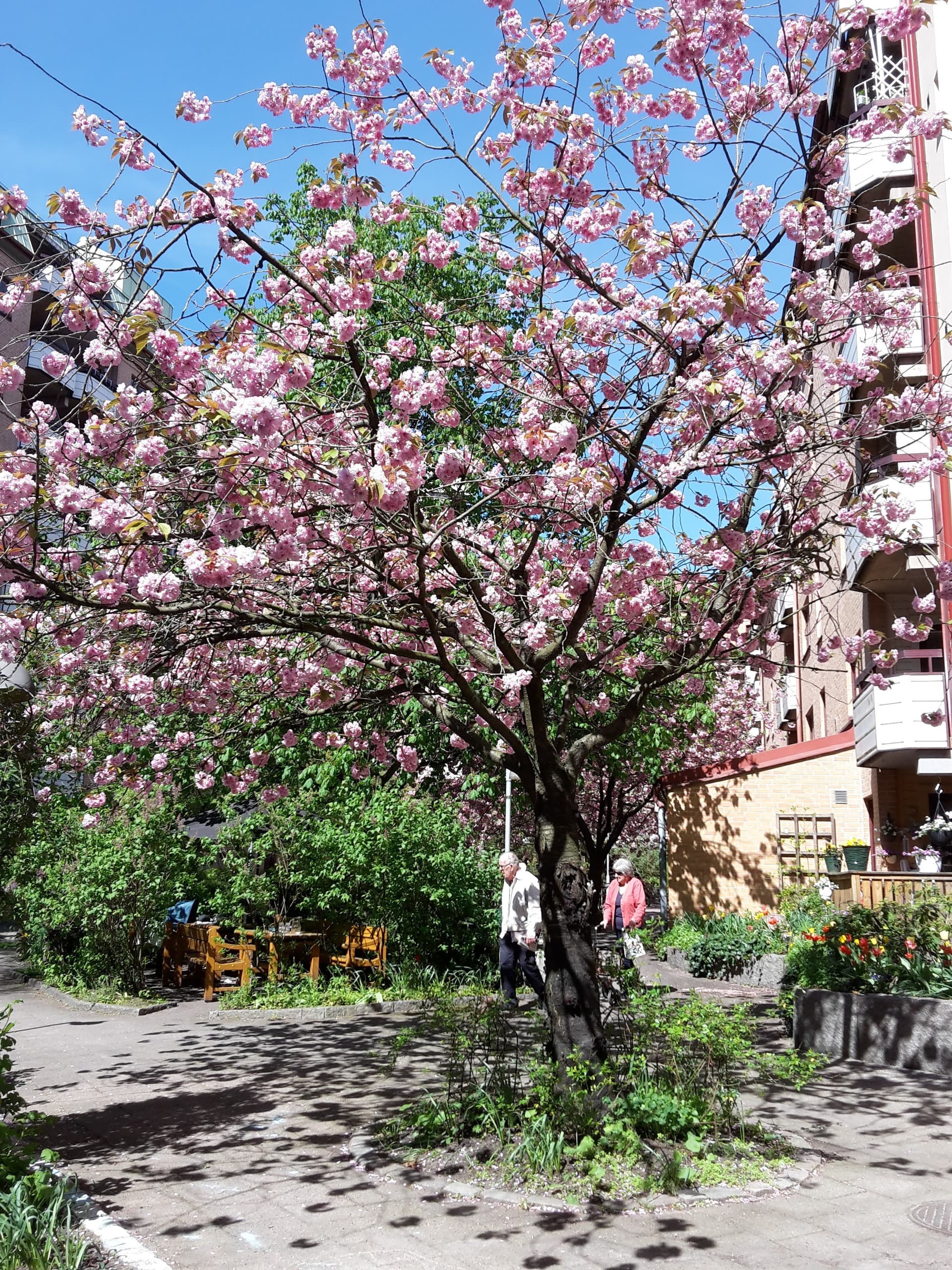 Landsvägsgatan i Göteborg