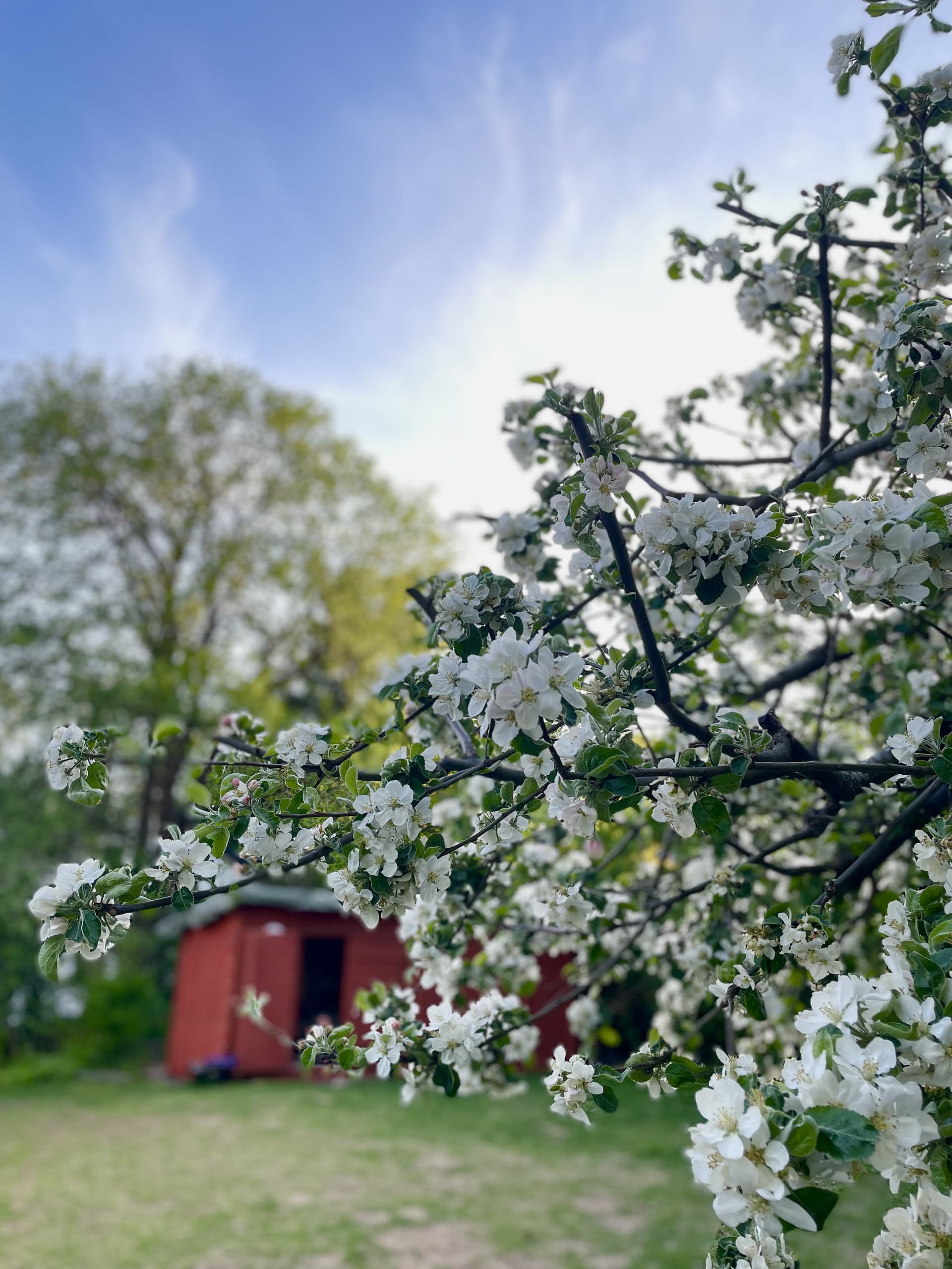 Spångavägen i Bromma