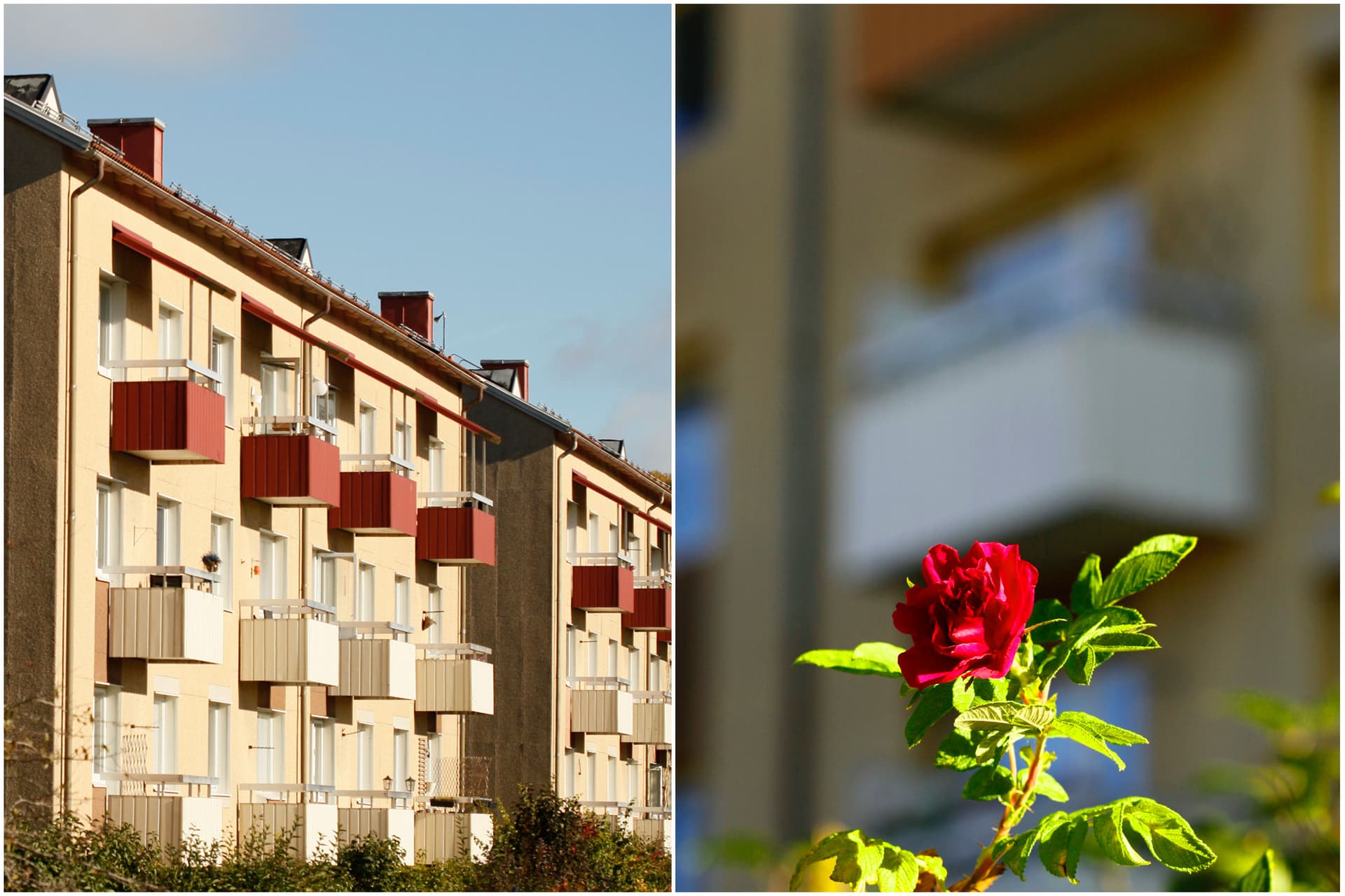 ÄLGSTIGEN 2 A i Uddevalla
