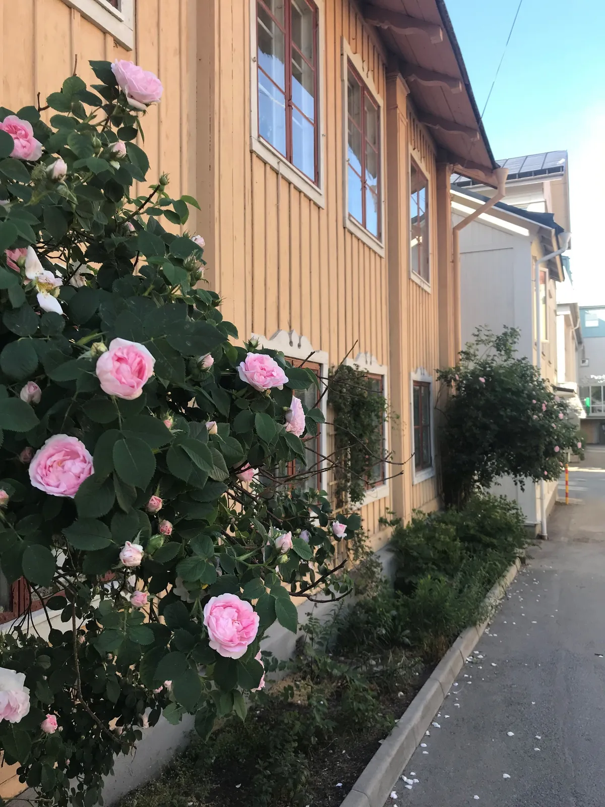 Skolgatan i Vaxholm