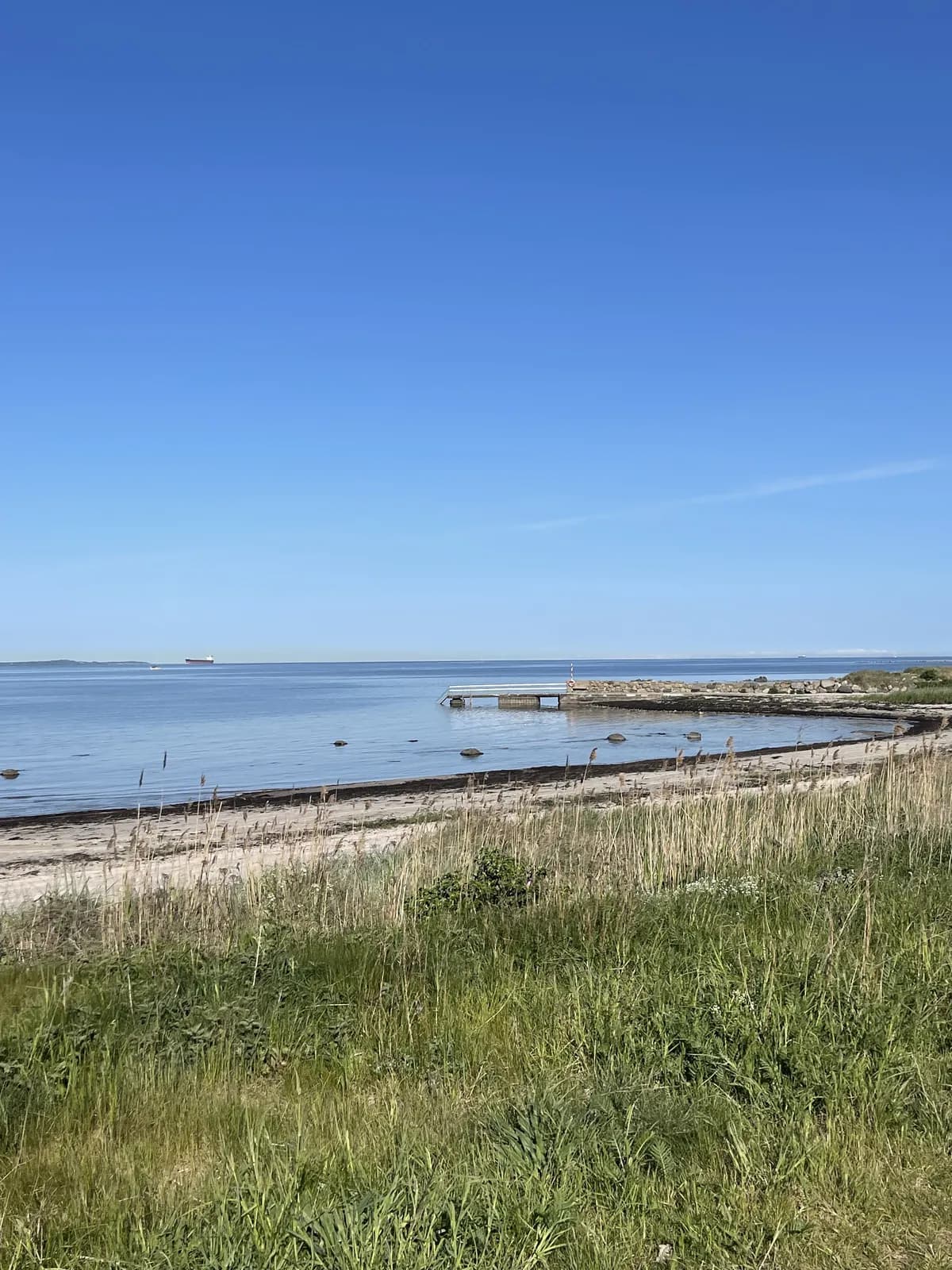 Lärkstigen i Domsten