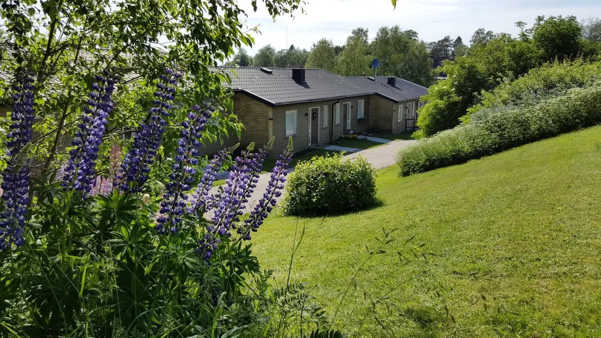 Hjortronstigen i Röshult