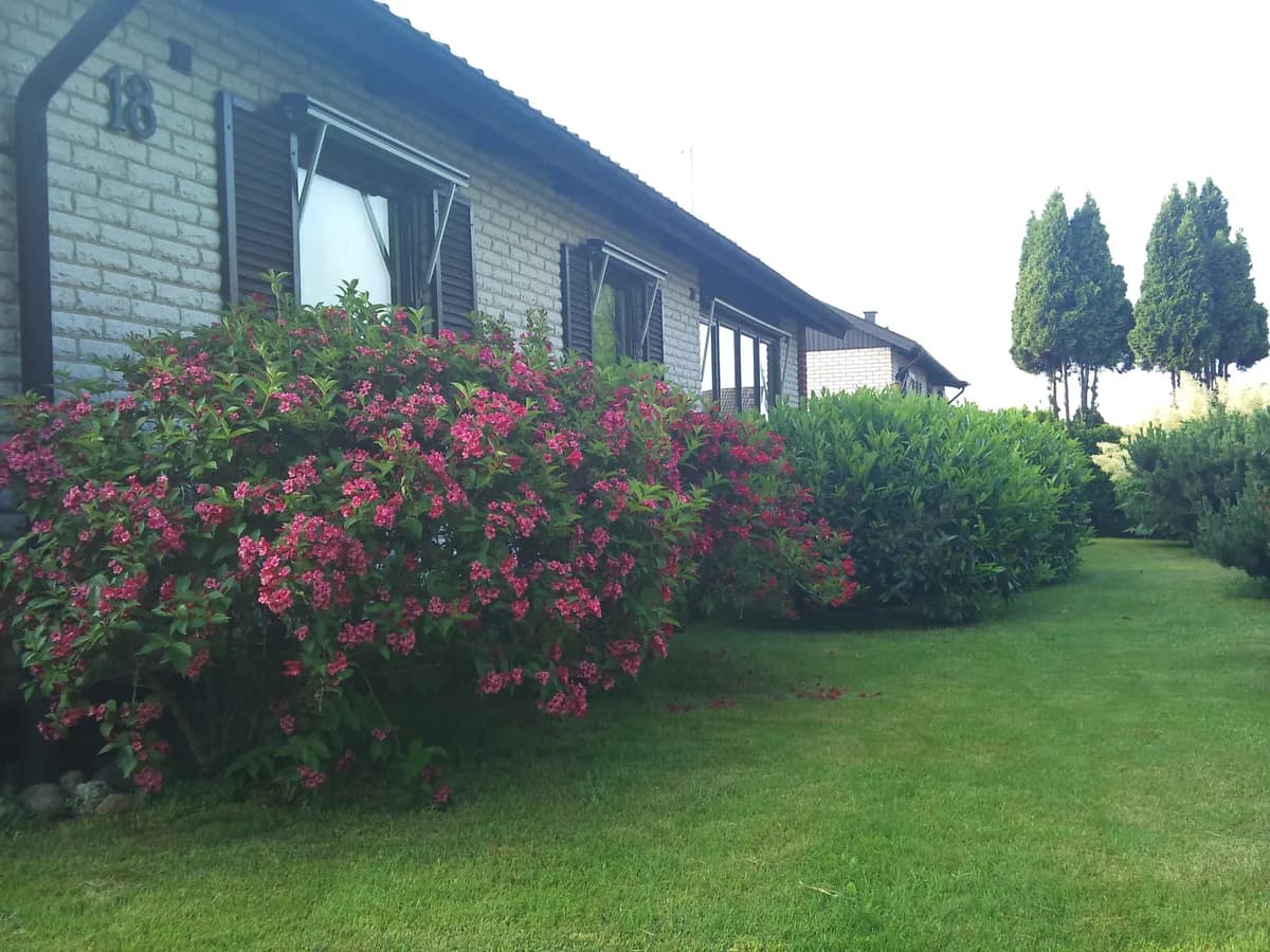 Olof Olssons väg i Jonstorp