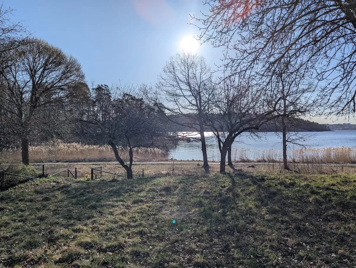 Skärviksvägen i Djursholm