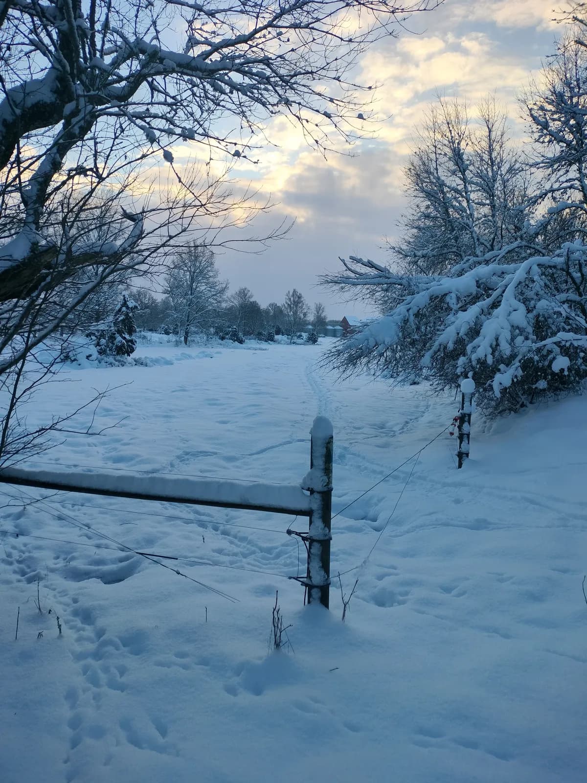 Vaktelvägen i Färlöv