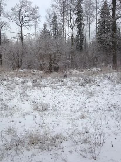 Sockerbruksgatan i Södertälje
