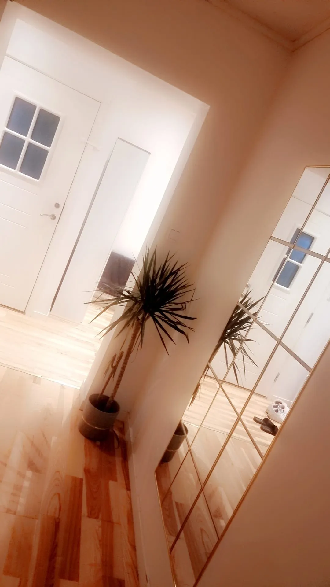 Långebrogatan i Kristianstad