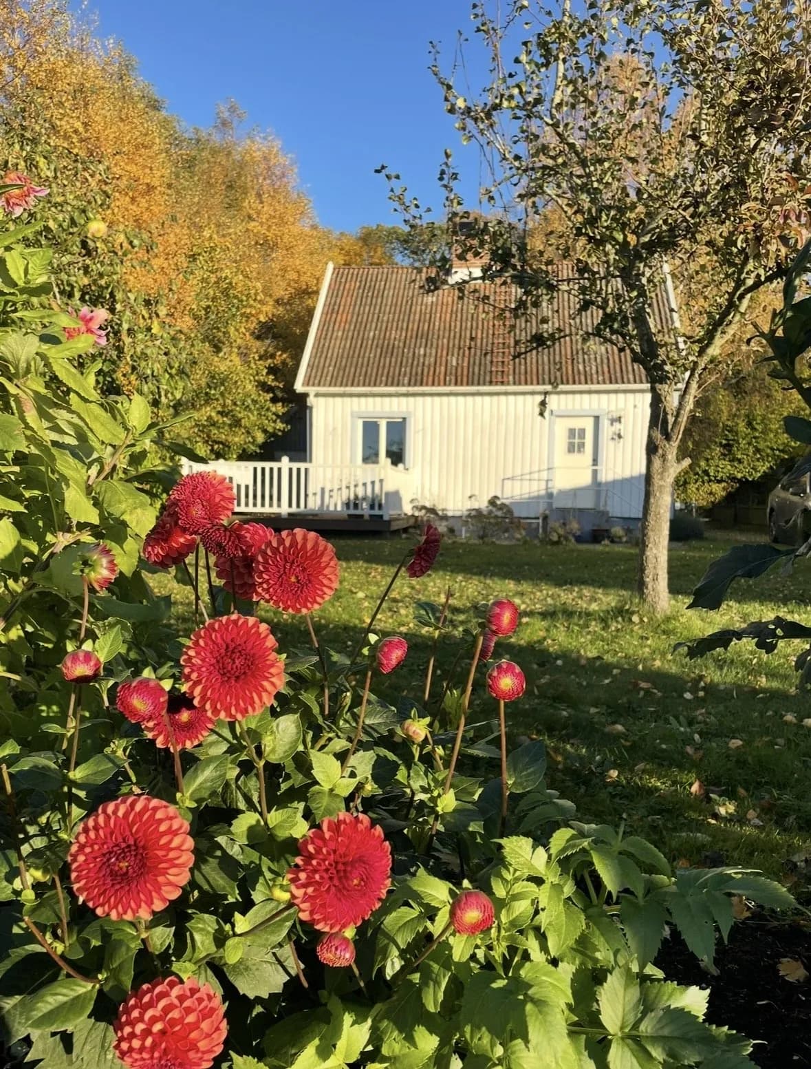 Gamla Lundavägen i Blentarp