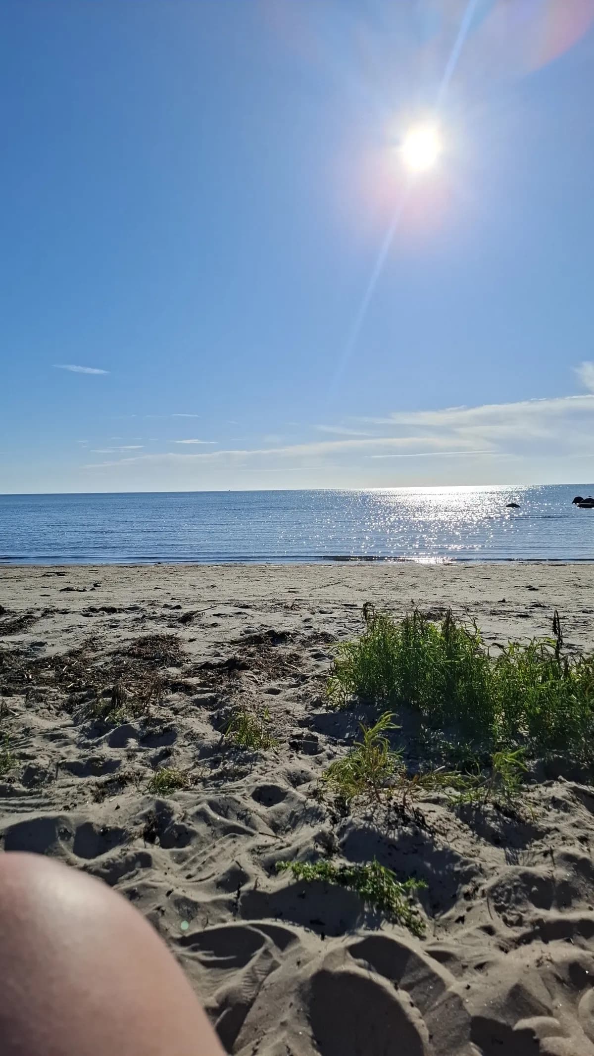 Gustavs väg i Glommen