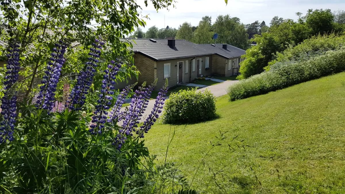 Hjortronstigen i Röshult