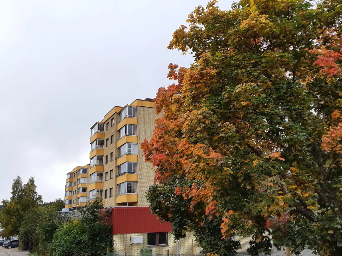 Bryggargatan i Timrå