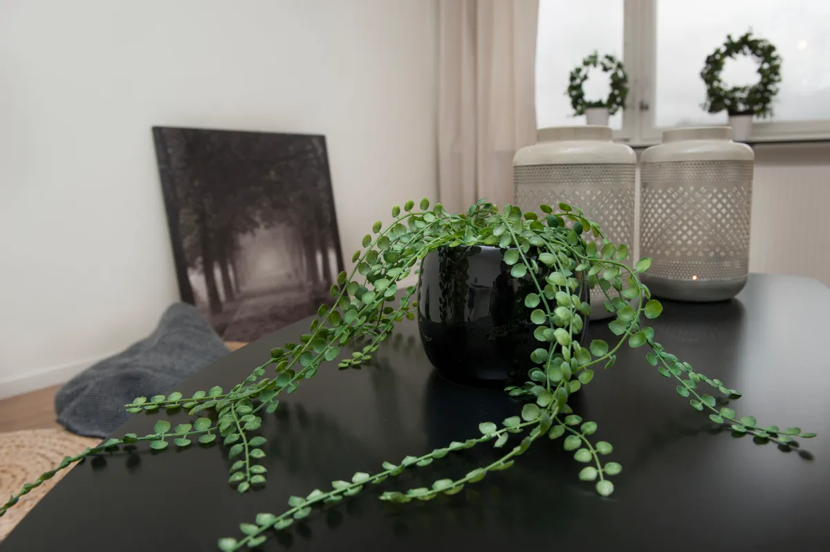 Valhallagatan i Skara