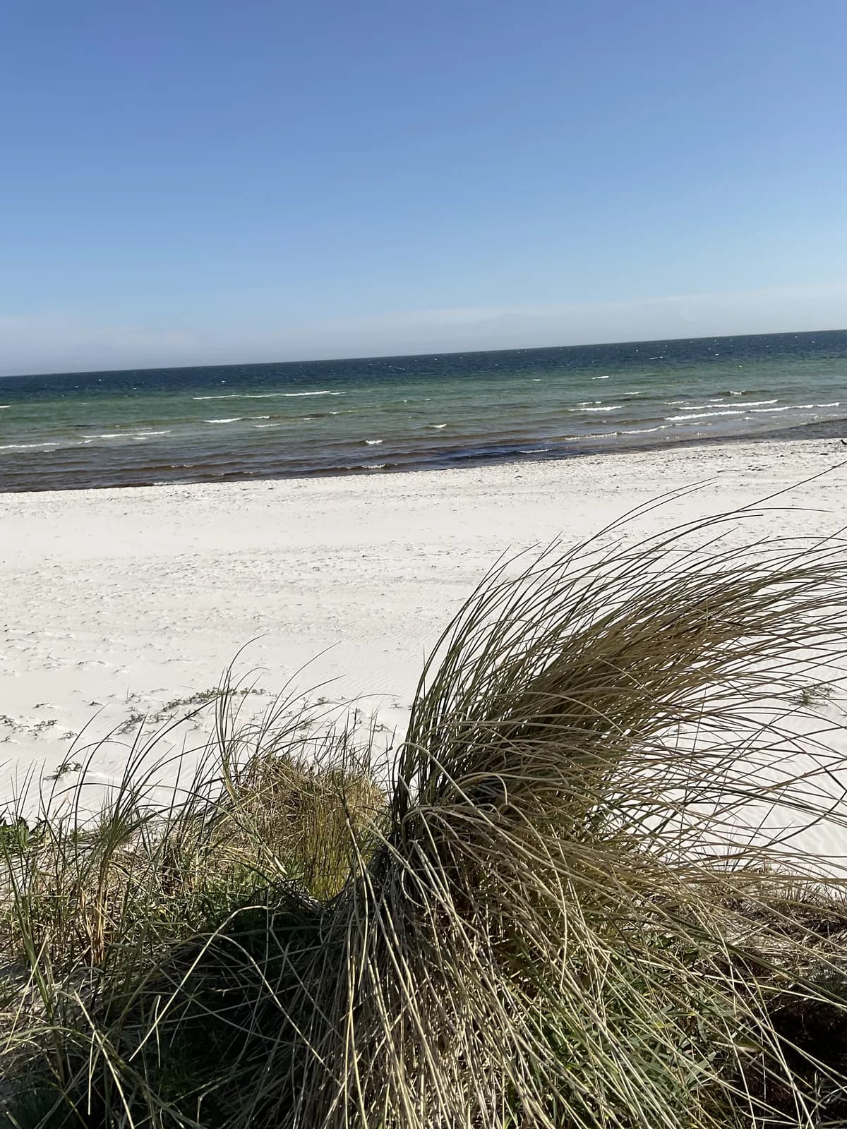 Ålavägen i Falsterbo