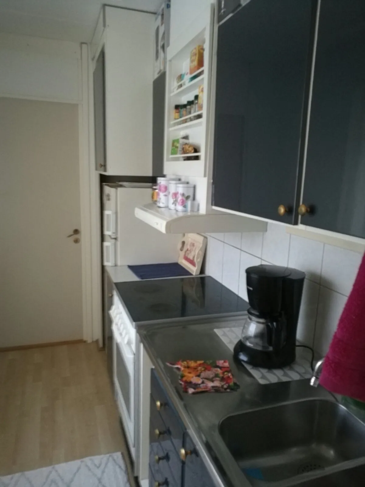 Lejonets gata i Brandbergen