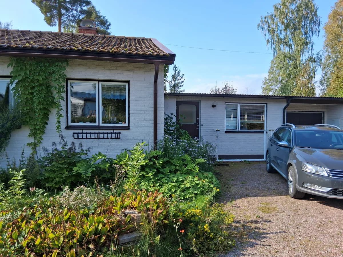 Furuplan i Falun