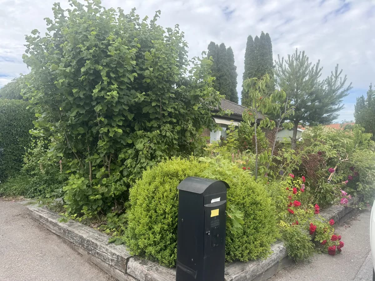 Vadmalsvägen i Uppsala