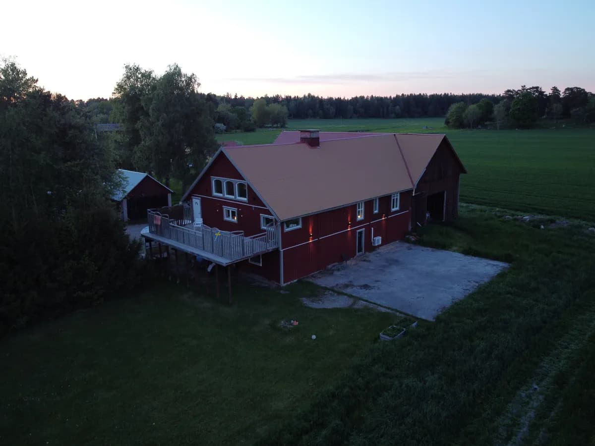 Skogstibble i Vänge