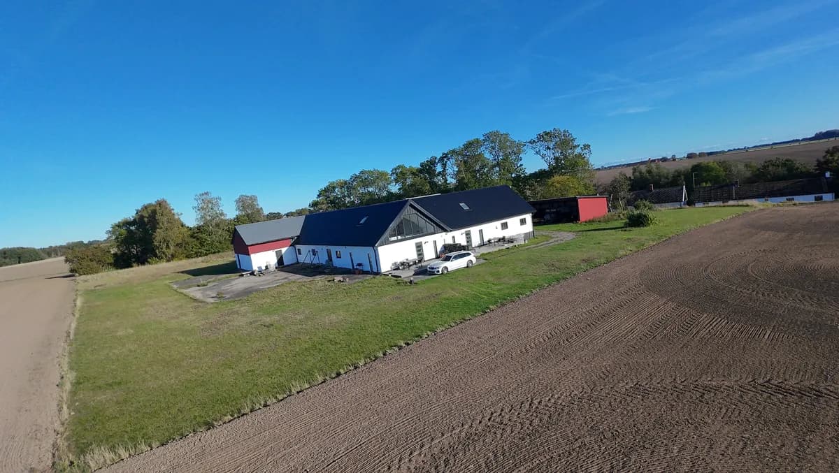 Ölöv i Skivarp