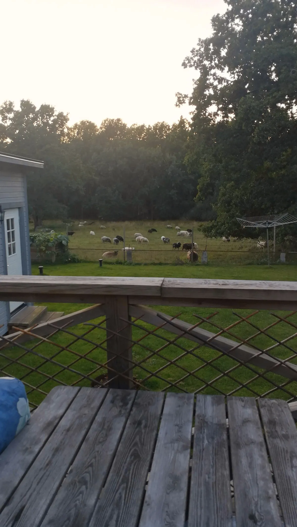 Byggesvägen i Mörrum