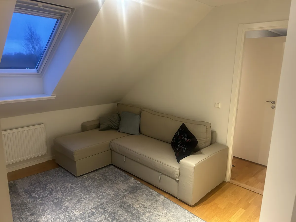 Skogsflyvägen i Åled