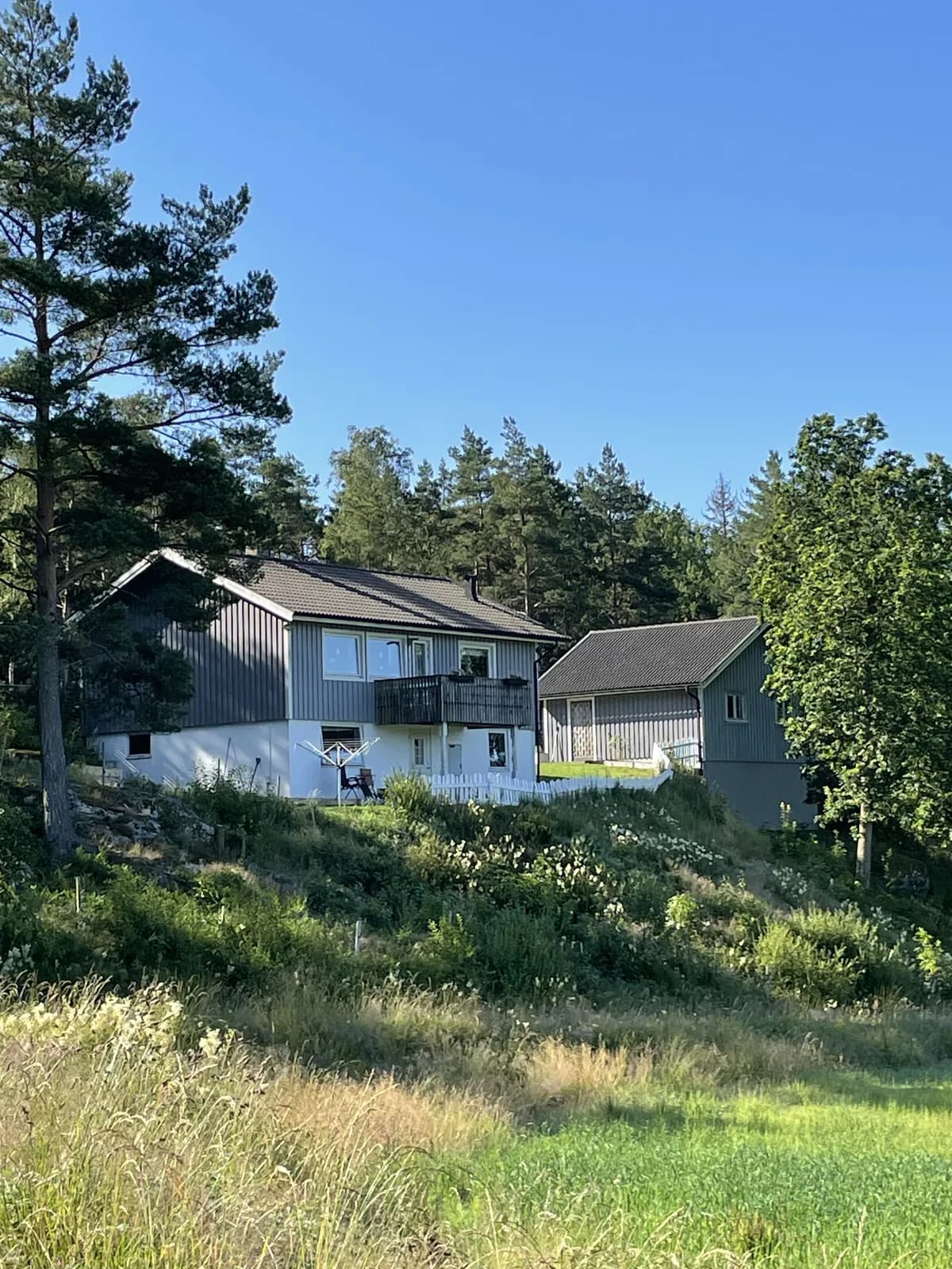 Bredhult i Nygård