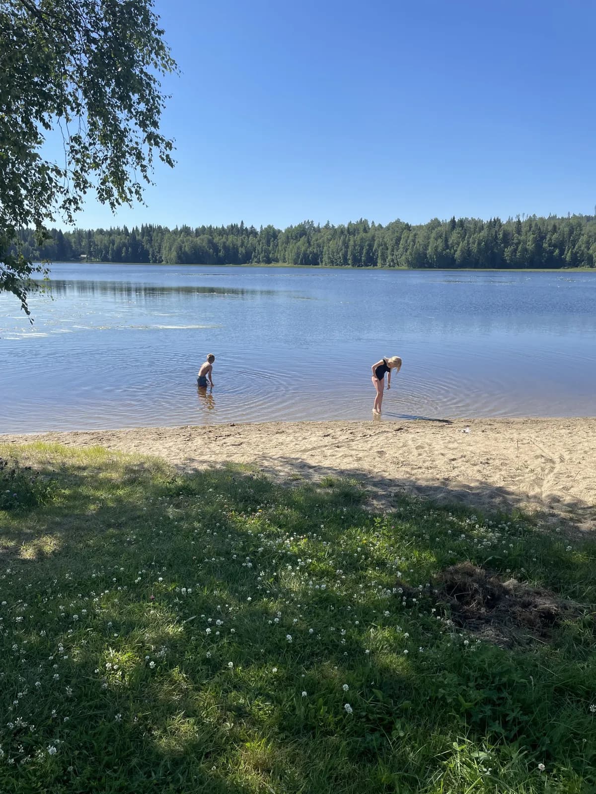 Graningebruk i Graninge