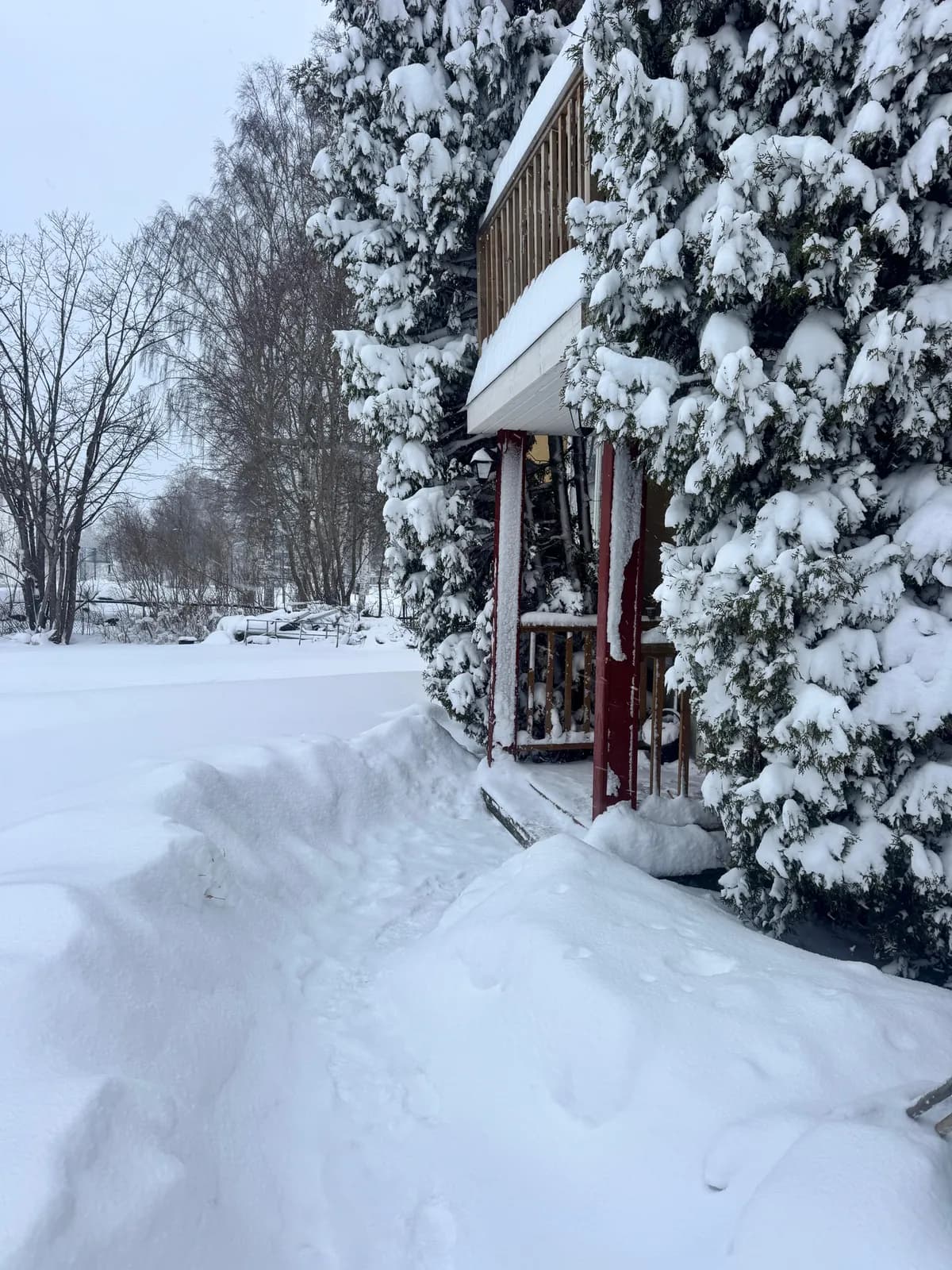 Barrsätragatan i Sandviken