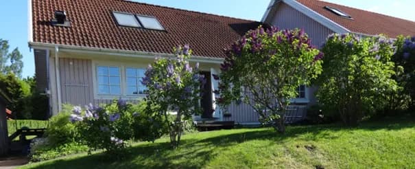 Gammelhyttevägen i Segmon