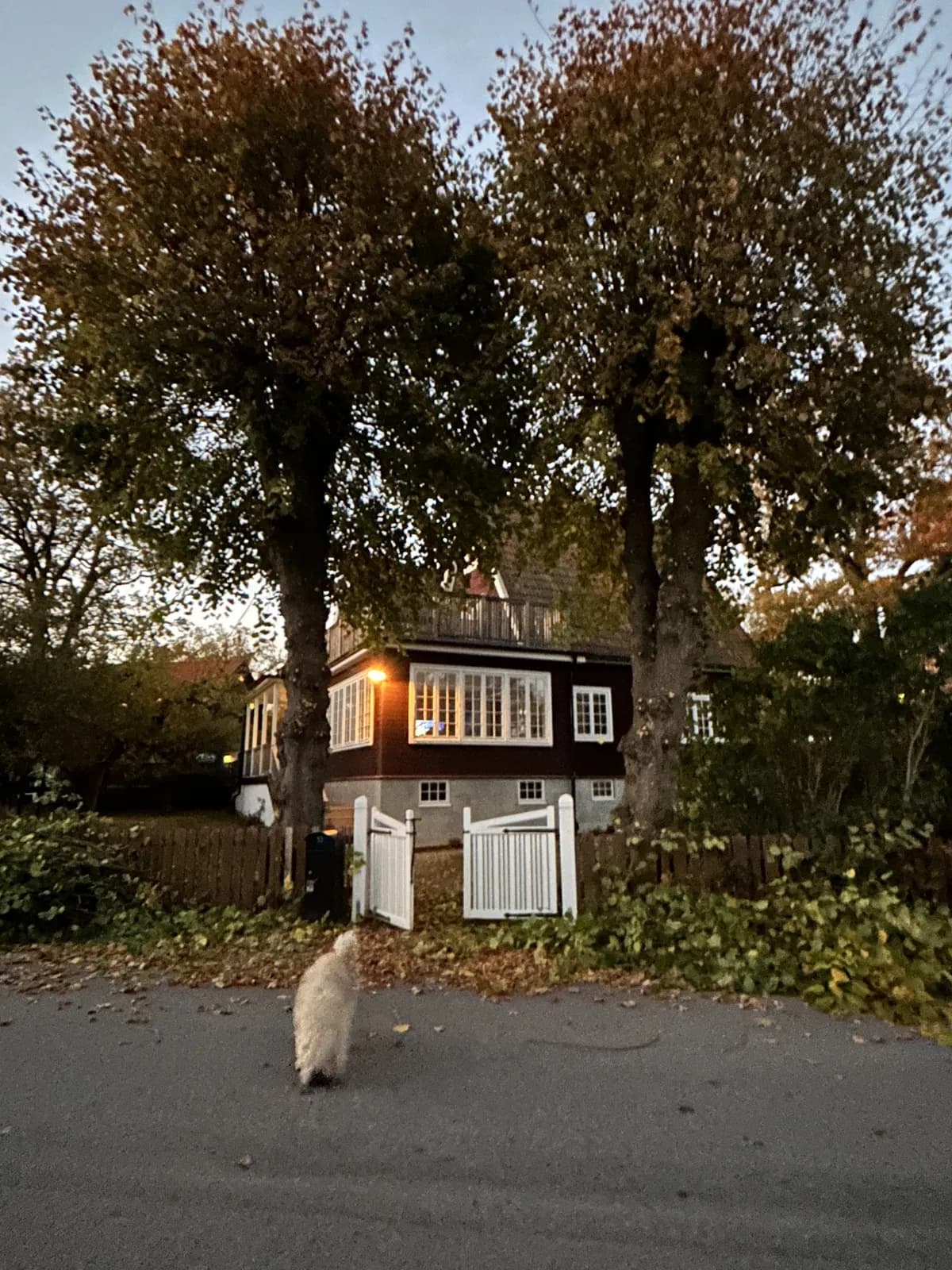 Jägarstigen i Saltsjö-duvnäs