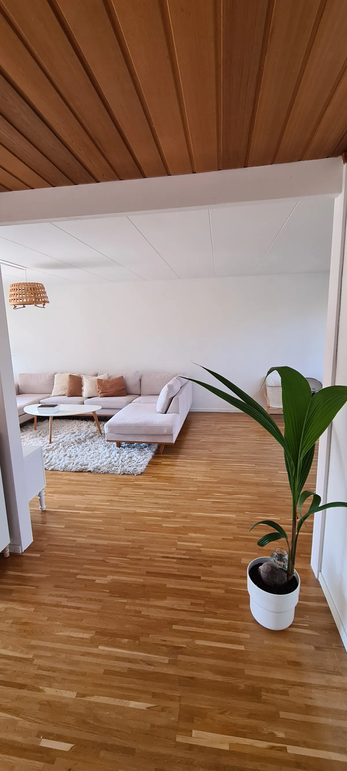 Piteågatan i Helsingborg