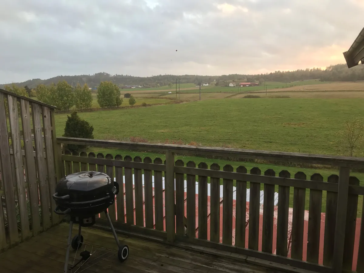 Brattorp i Svanesund