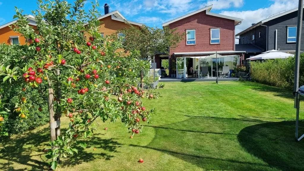 Begoniaslingan i Bro