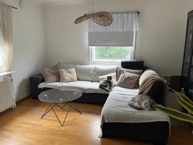 Trollhättevägen i Sjuntorp