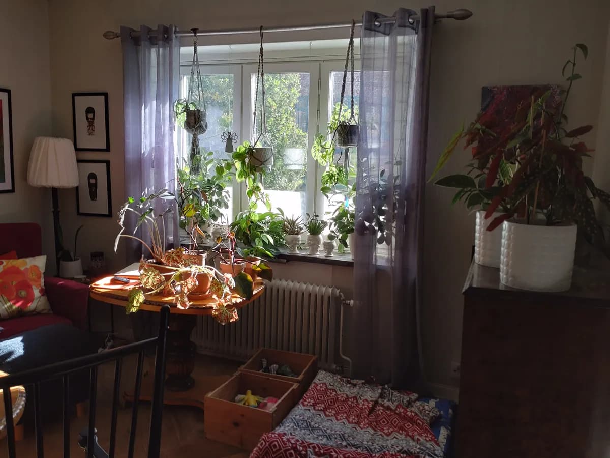 Sundsgatan i Vänersborg